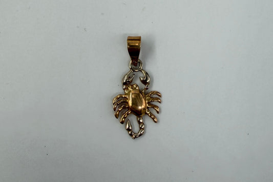 CIONDOLO ORO 18KT BICOLOR